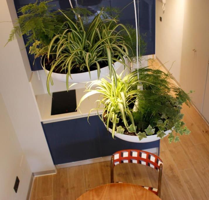 Apartamento Por Temporada Centro Diseno Madri Exterior foto